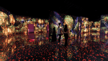 ARTE Museum + House Of Hype - Combo