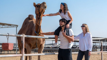 Guided Camel Farm Tour + Camel milk tasting - Camelicious