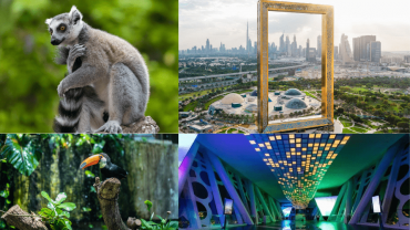 Dubai Frame + The Green Planet Dubai - Combo