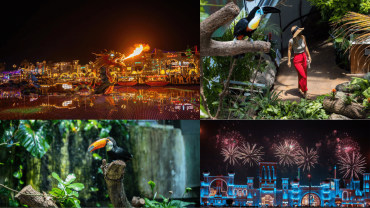 Global Village + The Green Planet Dubai - Combo