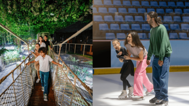 Dubai Aquarium and Underwater Zoo Silver Pass + Dubai Ice Rink