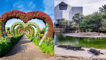Dubai Crocodile Park + Miracle Garden - Combo