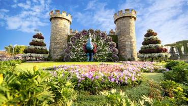 Dubai Miracle Garden