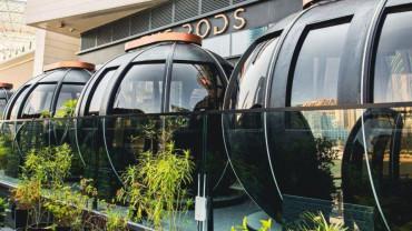 Exclusive 2-Course Festive Brunch – The Pods