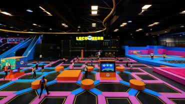 Loco Bear Entertainment Hub