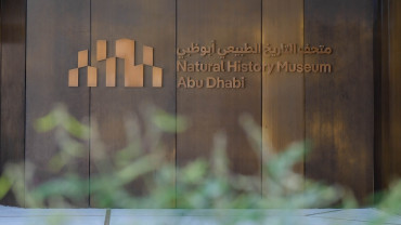 Natural History Museum Abu Dhabi (anyone under 18 years go free)