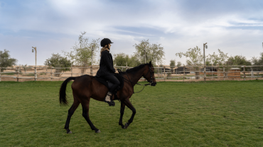 Sunset Horse Riding at Al Marmoom Oasis with a 6-Course Bedouin Dinner