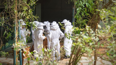 Terra's Novice Beekeeping Course at Expo City Dubai